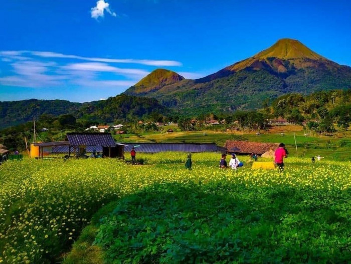 Desa Wisata Penanggungan